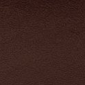 Aruba_05_Brown
