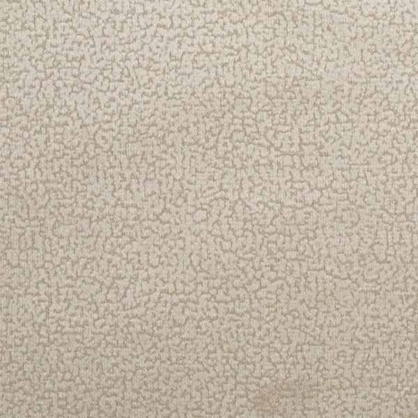 focus04stone