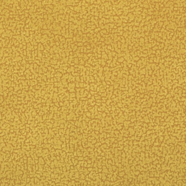 focus12yellow