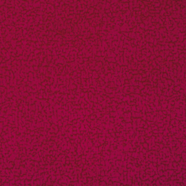 focus14red