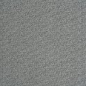 ralf05_2---w-1200