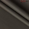 Mustang-kongo-21728