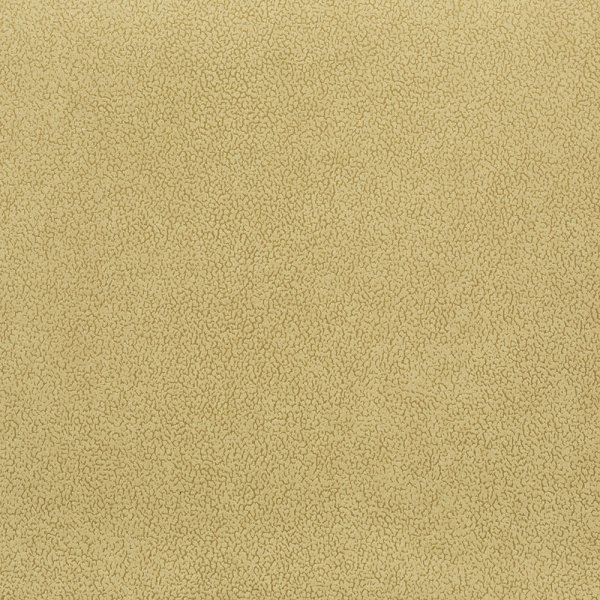 211beneto8---w-600-h-600