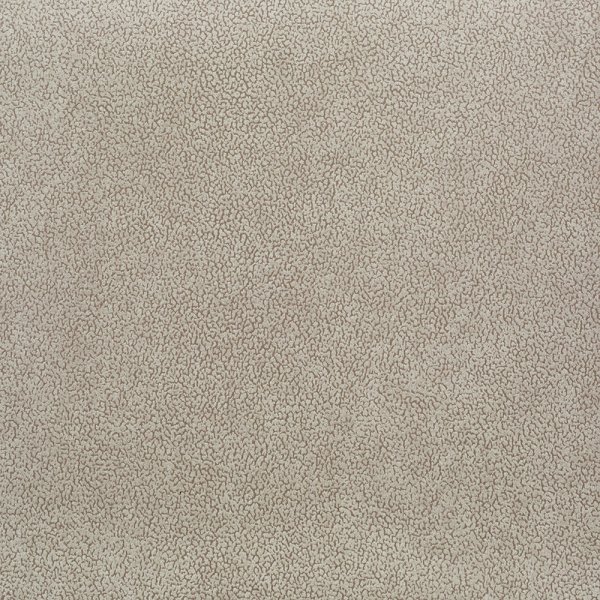 404beneto3---w-600-h-600