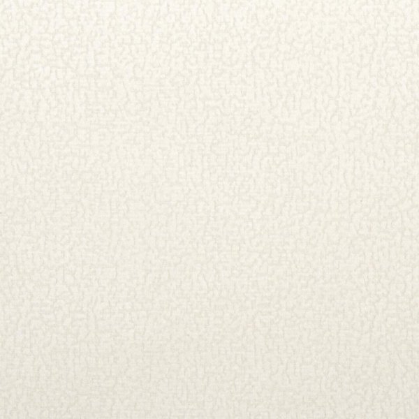 focus01white