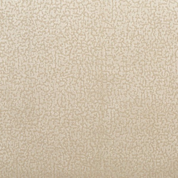 focus02cream