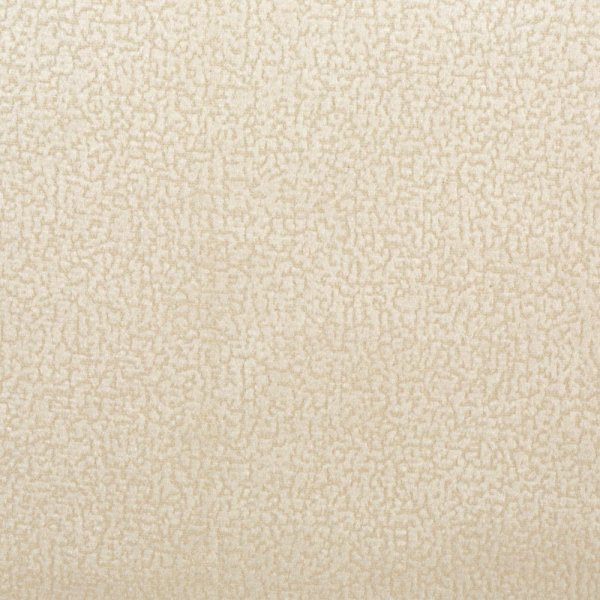 focus03beige