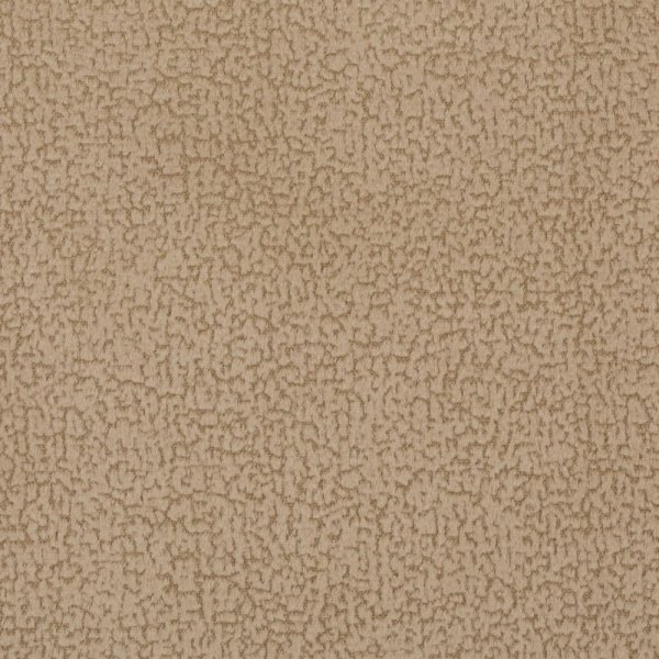 focus05sand