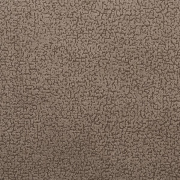 focus06taupe