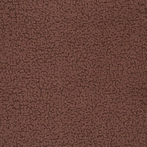focus07brown