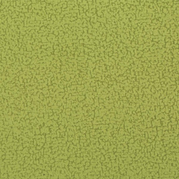 focus11green