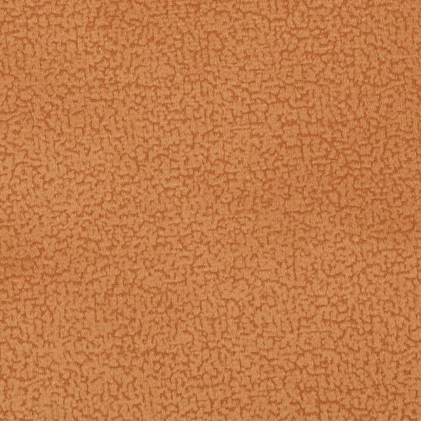 focus13orange