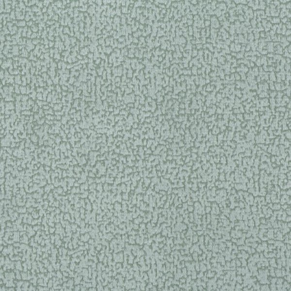 focus16mint