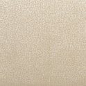 focus02cream