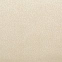 focus03beige