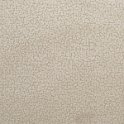 focus04stone