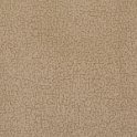 focus05sand