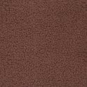 focus07brown