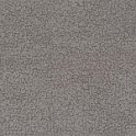 focus10mineral