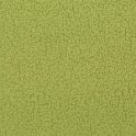 focus11green