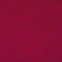 focus14red