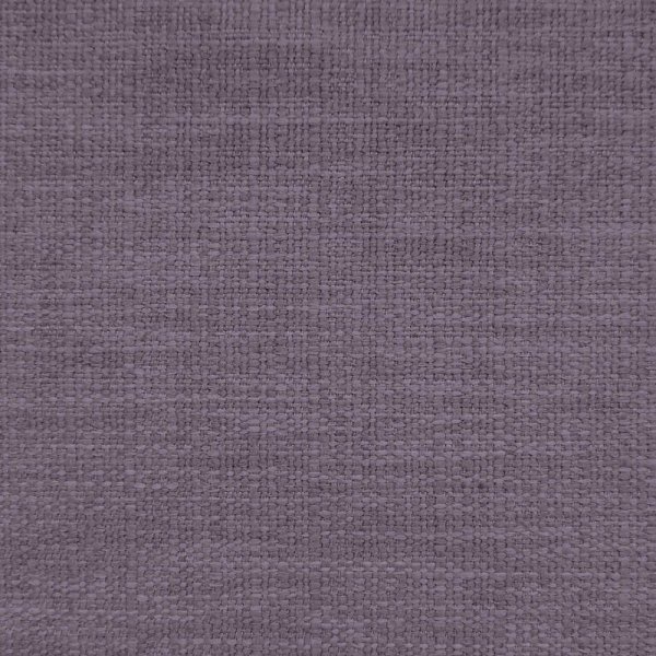 lotos-11-violet