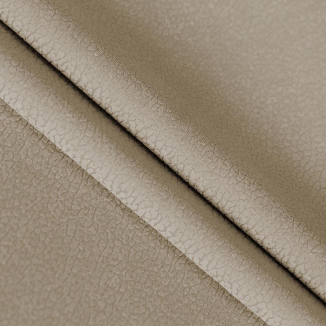 Pielo-24881