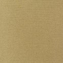 arianewmustard08---w-600-h-600