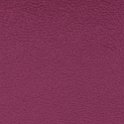 Aruba_10_Fuchsia