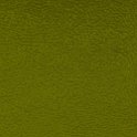 Aruba_13_Green