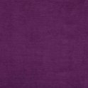 MILTON_10_violet