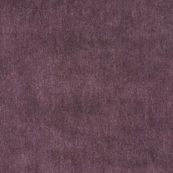 spectra-05-purple