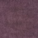 spectra-05-purple