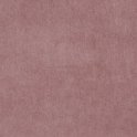 spectra-06-pink