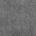 spectra-14-silver