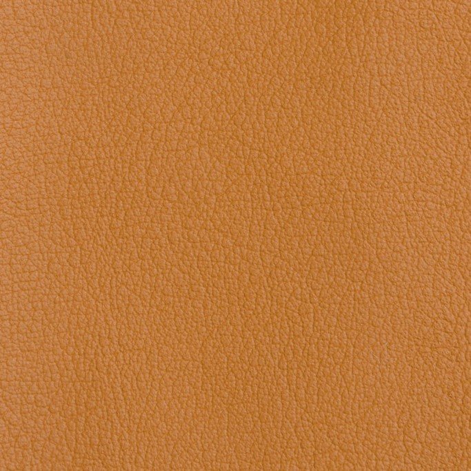 virida05---w-1200