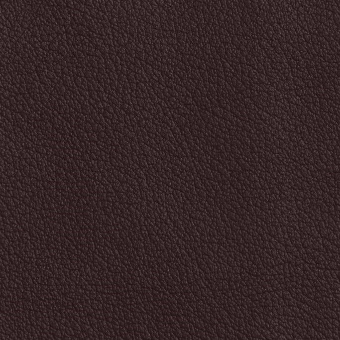 virida08---w-1200