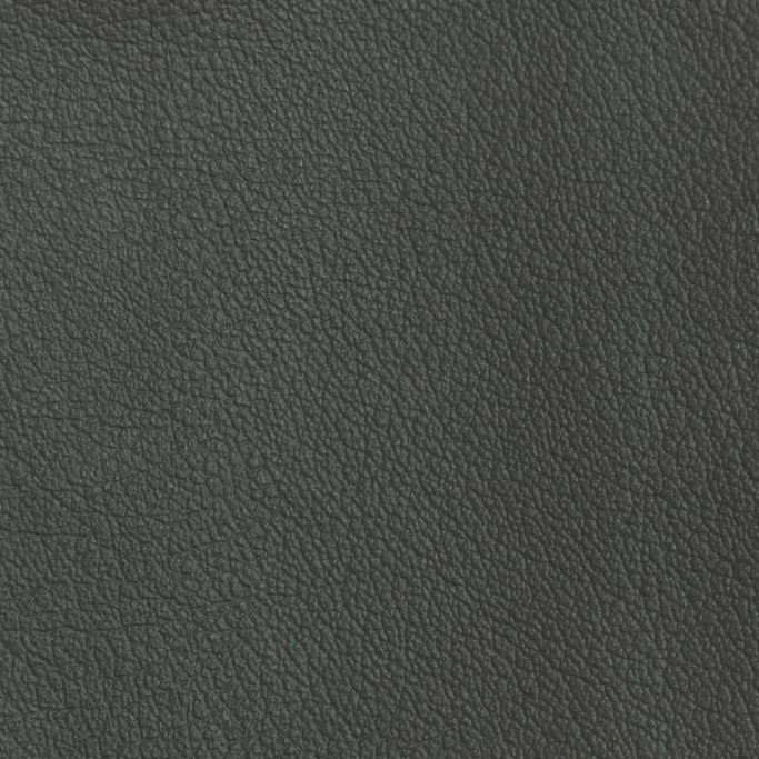 virida09---w-1200