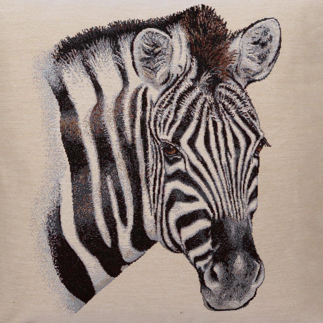 Zebra-25673